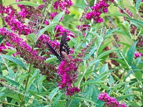 A Reason to Smile by Obiora Embry