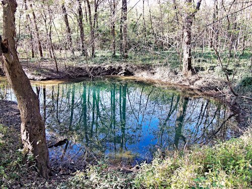Reflections in Water by Obiora Embry